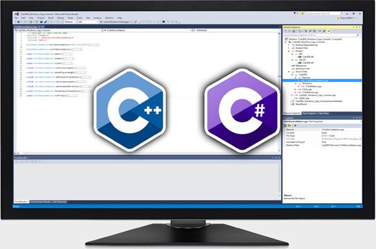 Visual Studio Working Screen